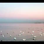 Z Prywatnym, Krytym Basenem