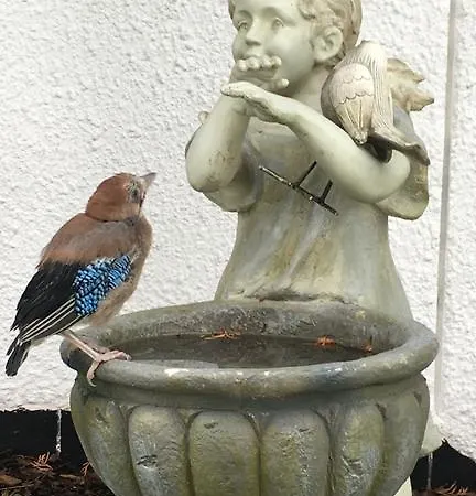 Z Prywatnym, Krytym Basenem Appartement