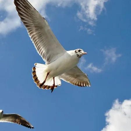 Appartement Z Prywatnym, Krytym Basenem *