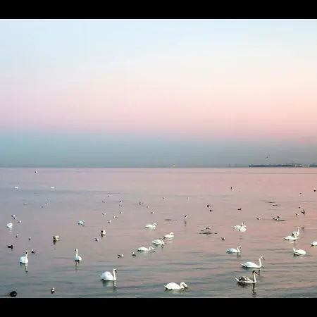 Z Prywatnym, Krytym Basenem