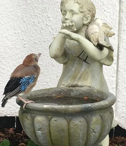 Z Prywatnym, Krytym Basenem Appartamento