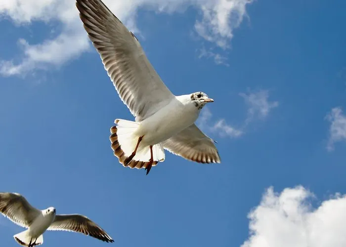 Appartamento Z Prywatnym, Krytym Basenem *